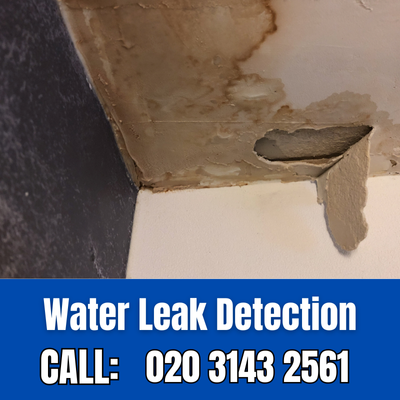 Expert Water Leak Detection Services in Gants Hill | Gants Hill Leak Detection